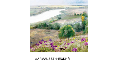 Изображение отчета.