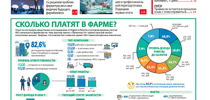 Фото новости.
